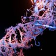 Närbild av en lysande, färggrann DNA-dubbelspiral mot svart bakgrund